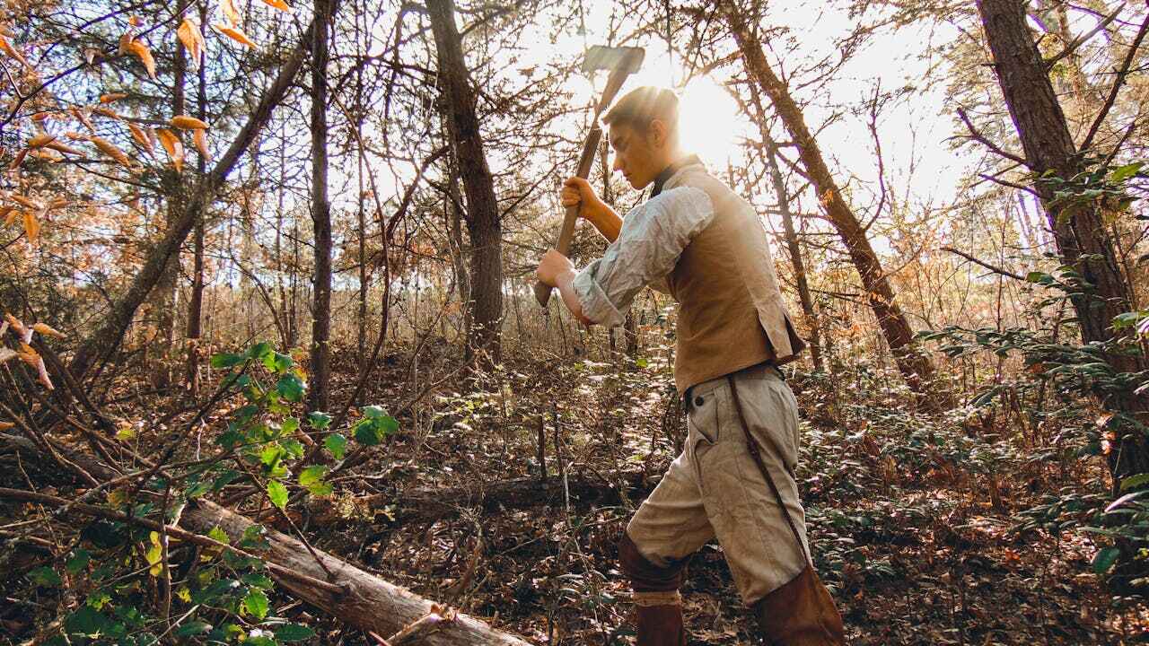 Best Tree Trimming Near Me  in Clinton, MO